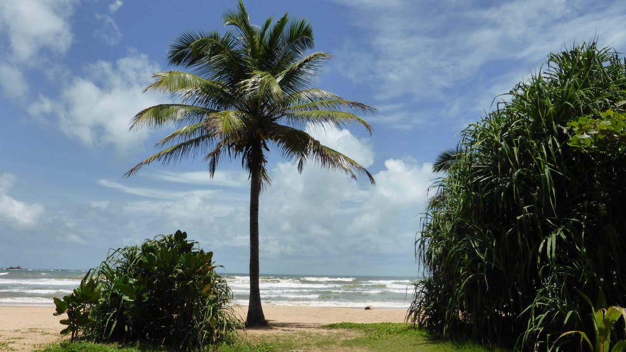 Hotelstrand EKHO Surf