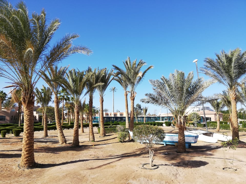 Sonstiges Club Paradisio El Gouna, Red Sea