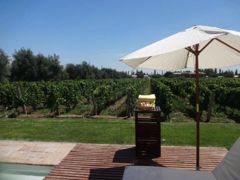 Pool Hotel Club Tapiz