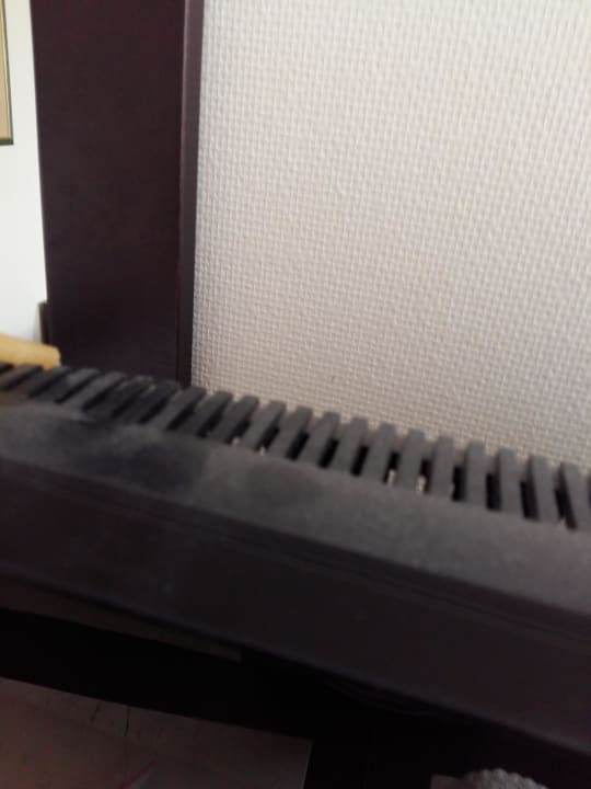 Dreck Asteria Collection Side