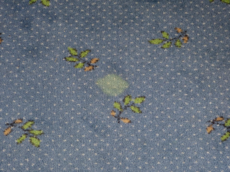 Zustand des Teppichbodens Landhotel Koller