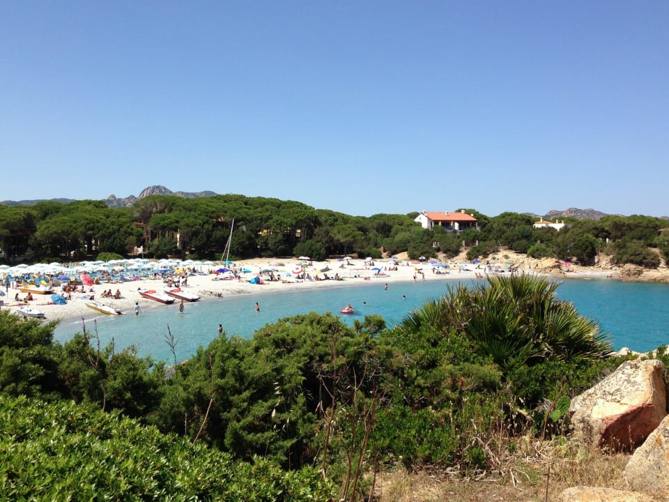Strand, umgeben von Pinien Tirreno Resort