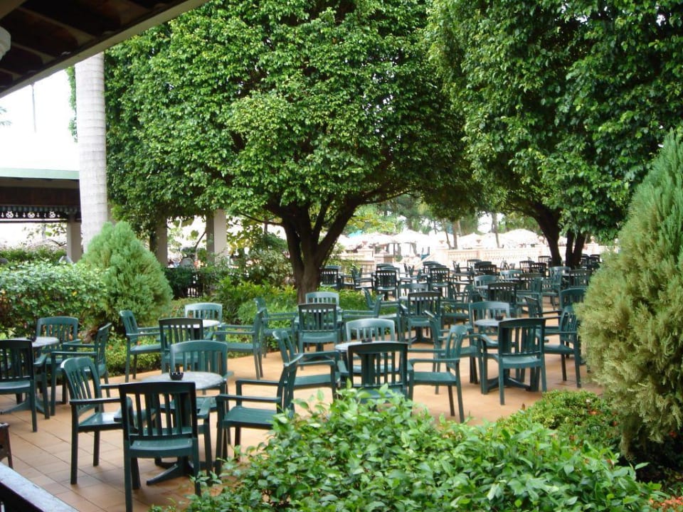 Terrasse Playabachata Hotel