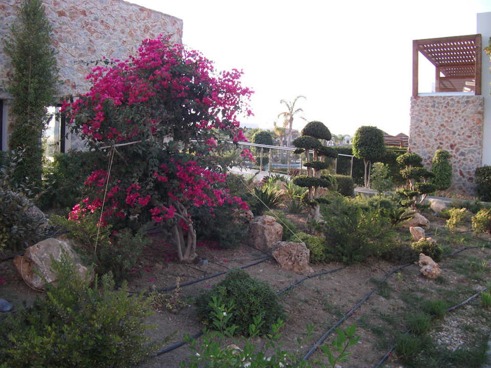 Gepflegte Gartenanlage TUI BLUE Palazzo del Mare
