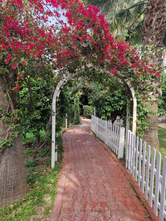 Gartenanlage Hane Family Resort