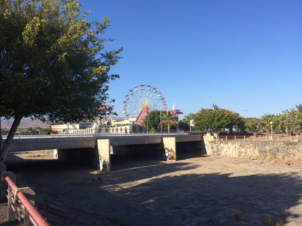 Canary Garden Club Canary Garden Club