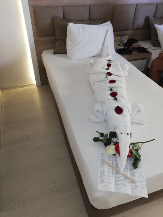 Zimmer Kleopatra Life Hotel
