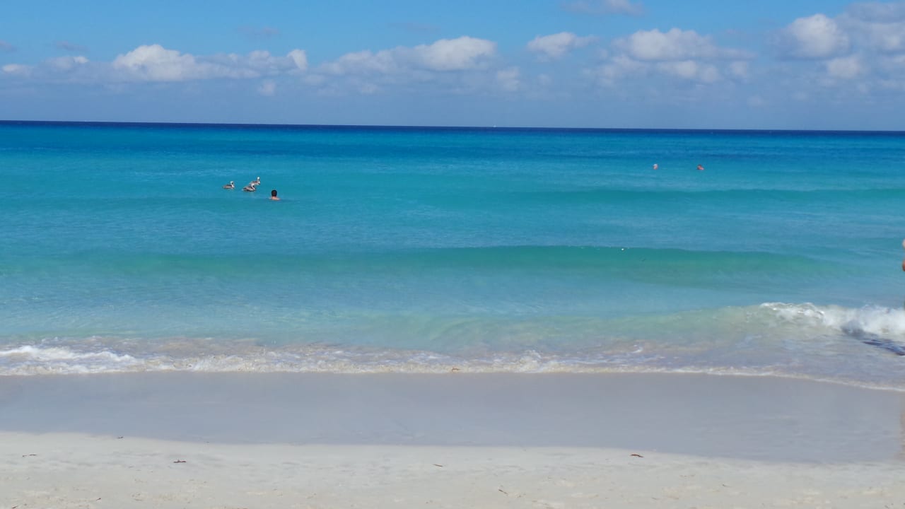 Strand Melia Las Antillas - Adults only