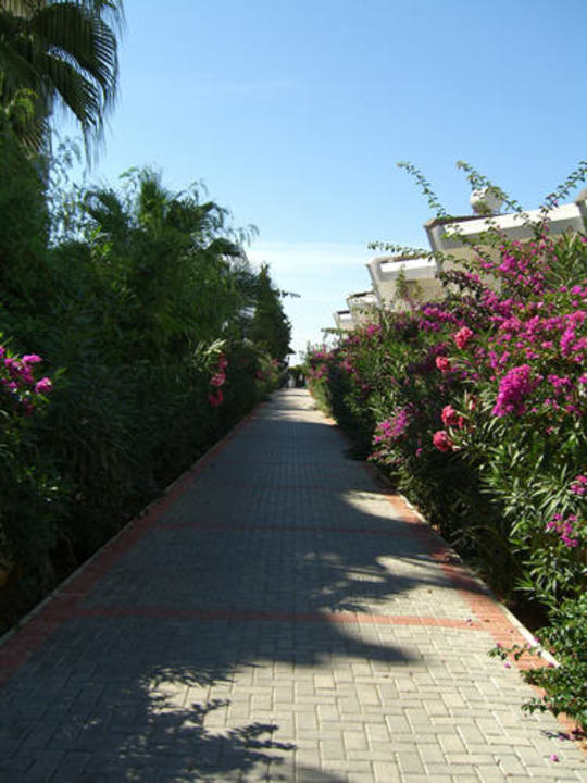 Weg zum Strand Alaiye Resort & Spa