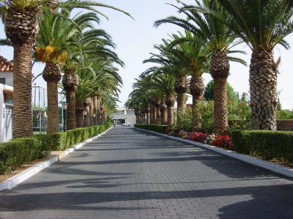 Haupteingang zum Hotel Phãea Cretan Malia