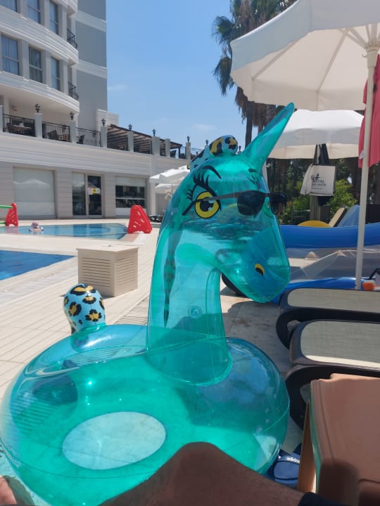 Sport & Freizeit Royal Atlantis Beach Hotel