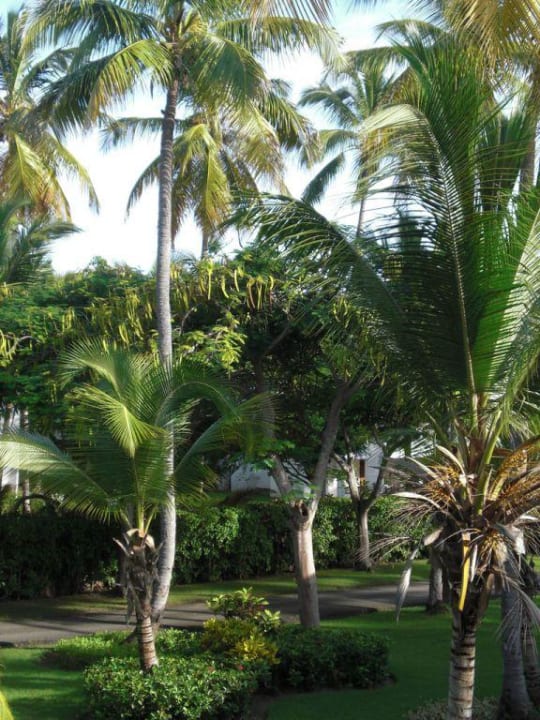 Garten Grand Palladium Select Bávaro Resort & Spa