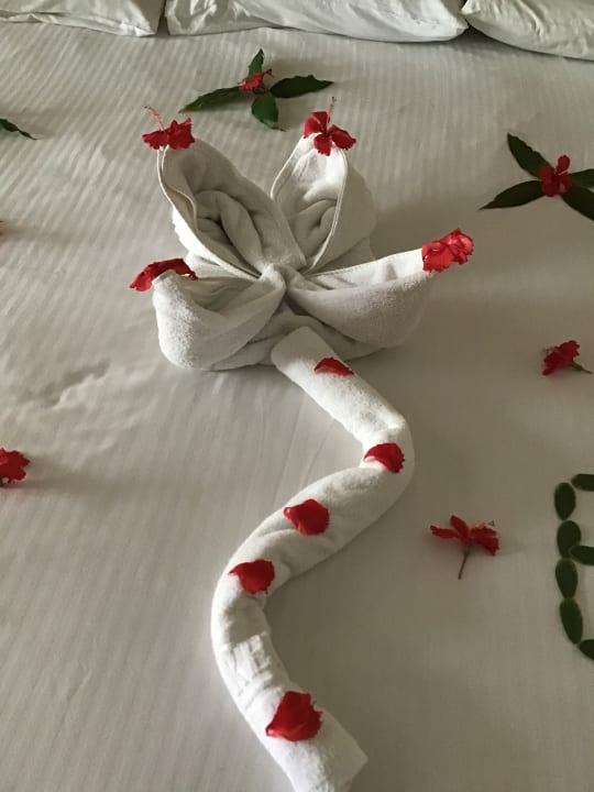 Zimmer Ghazala Gardens