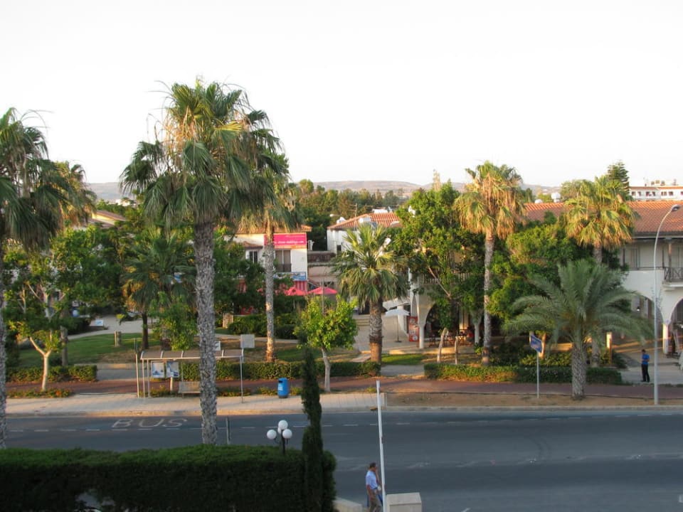 Ausblick Landseite Alexander The Great Beach Hotel