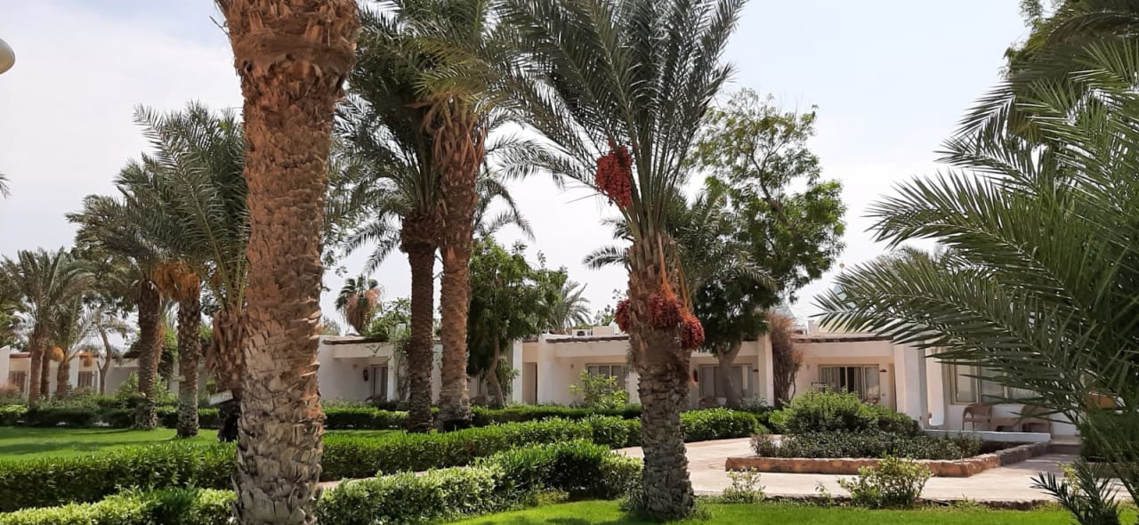 Außenansicht Menaville Safaga