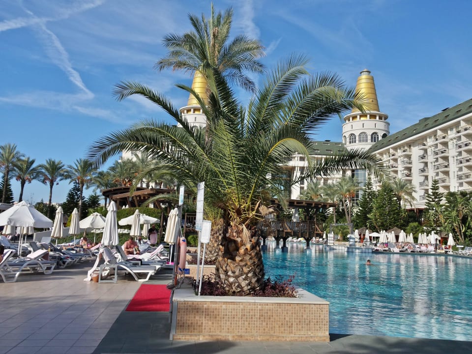 Grosser Swimmingpool  Hotel Delphin Diva