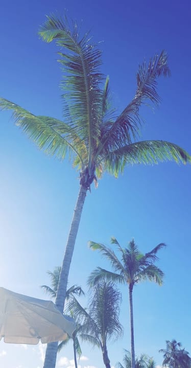 Sonstiges Hotel Riu Atoll