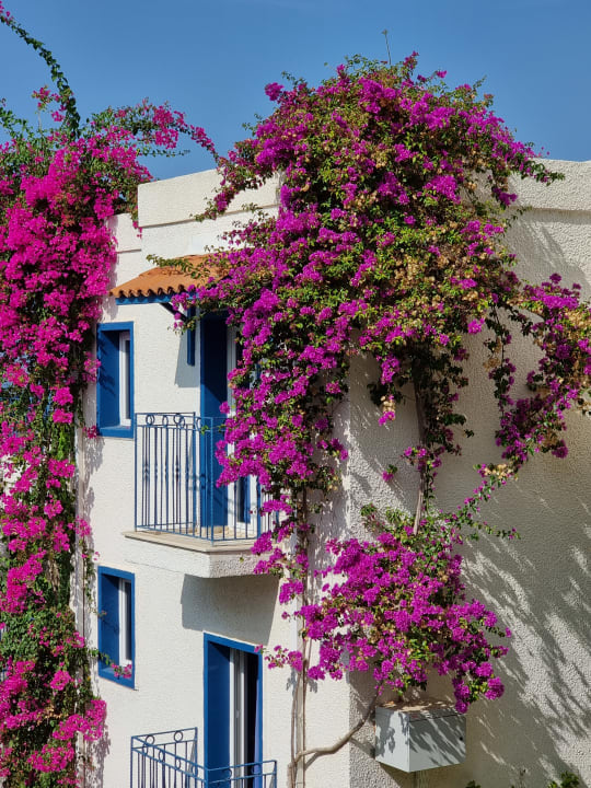 Sonstiges Bodrum Holiday Resort & Spa