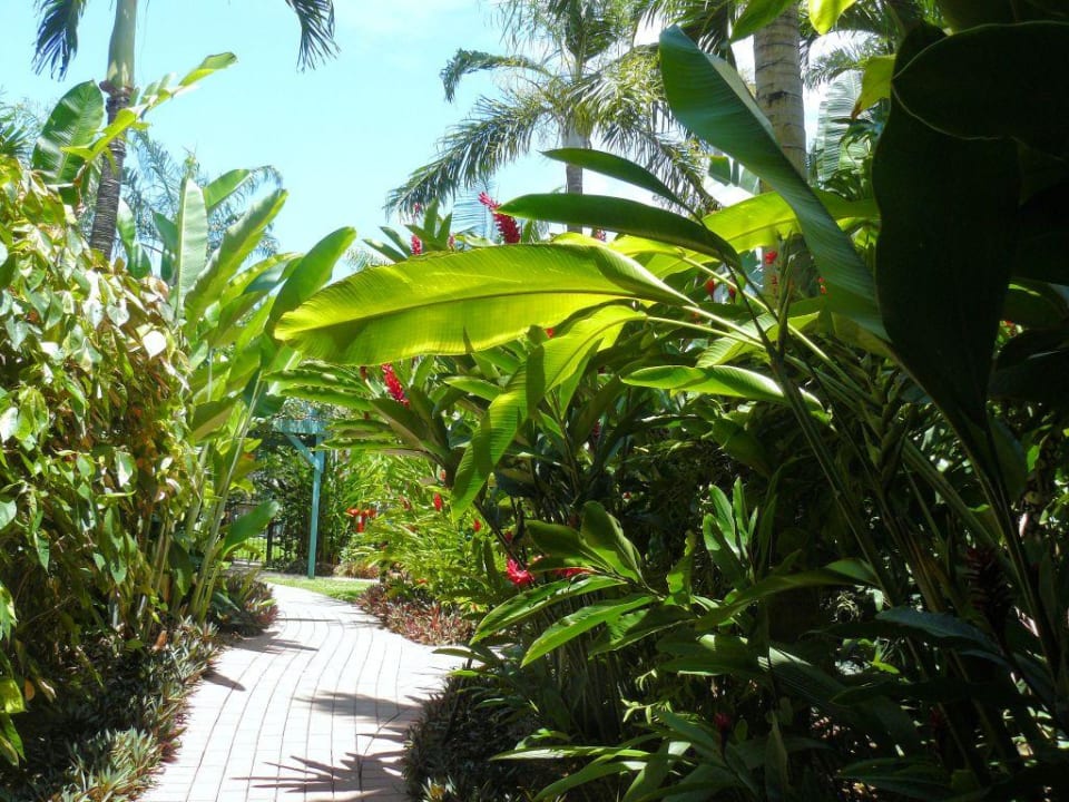 Das Cairns Beach Resort Hotel Cairns Beach Resort