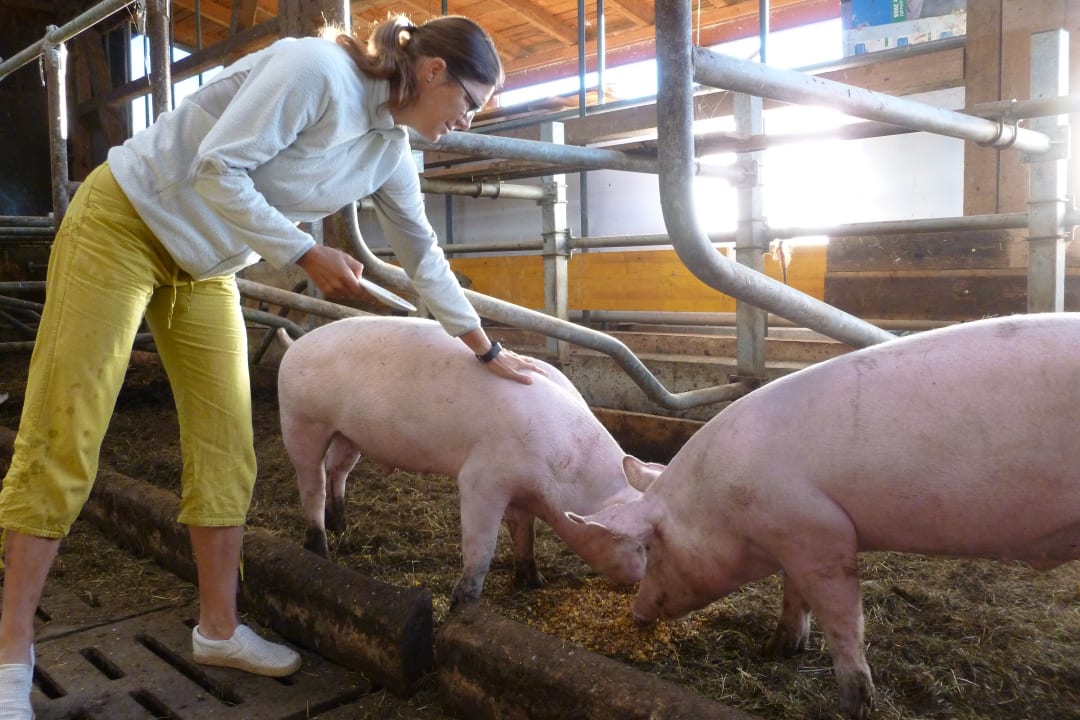 Sonstiges Ferienhof Baldauf