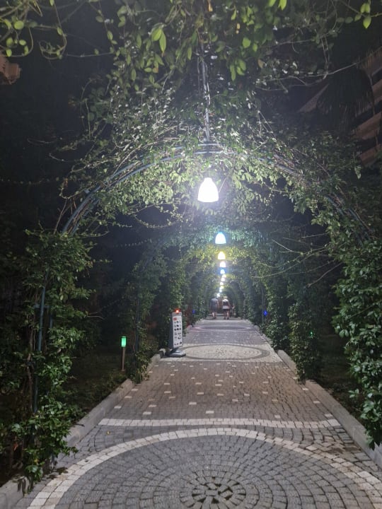 Gartenanlage Dream World Hill Hotel