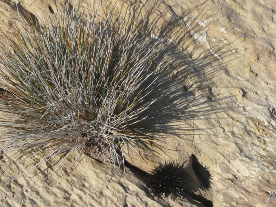 Bodrum Holiday Resort & Spa Bodrum Holiday Resort & Spa