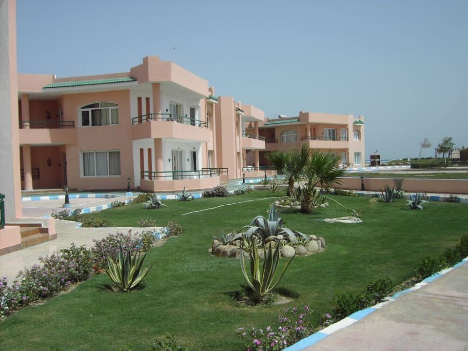Anicht Hotel Richtung Strand Pickalbatros Royal Moderna Resort-Sharm El Sheikh