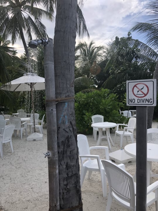 Bar Safari Island Maldives