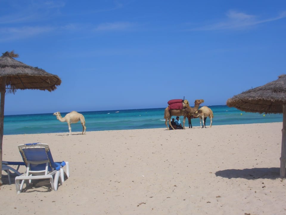 Strand Vincci Helios Beach