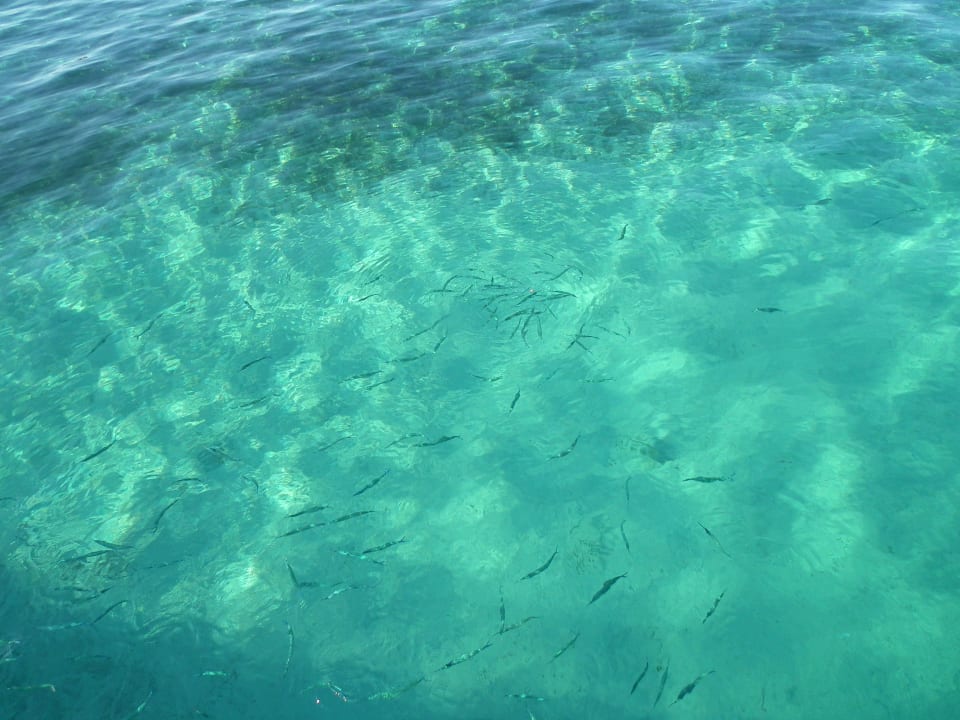 Rybki Regency Plaza Aqua Park & Spa