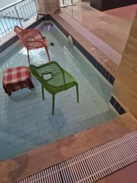 Pool Hotel Orfeus Park