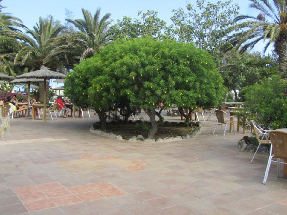 Hotelanlage SBH Fuerteventura Playa
