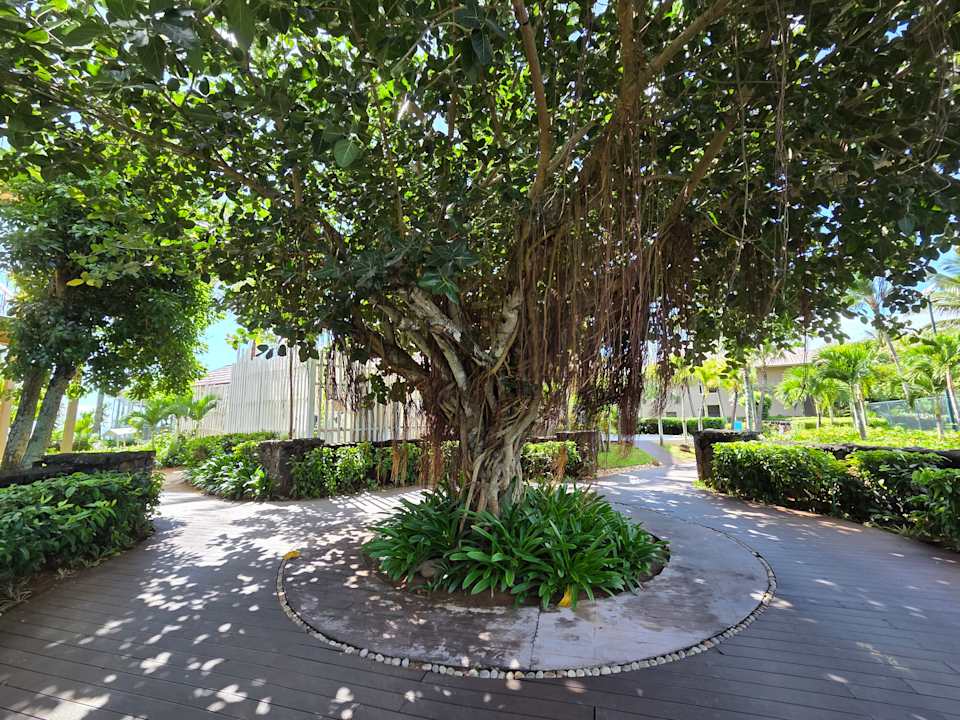 Gartenanlage Le Meridien Ile Maurice