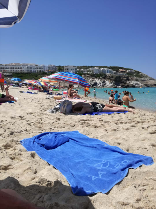 Strand Zafiro Cala Mesquida Cala Mesquida • Holidaycheck Mallorca Spanien 1016