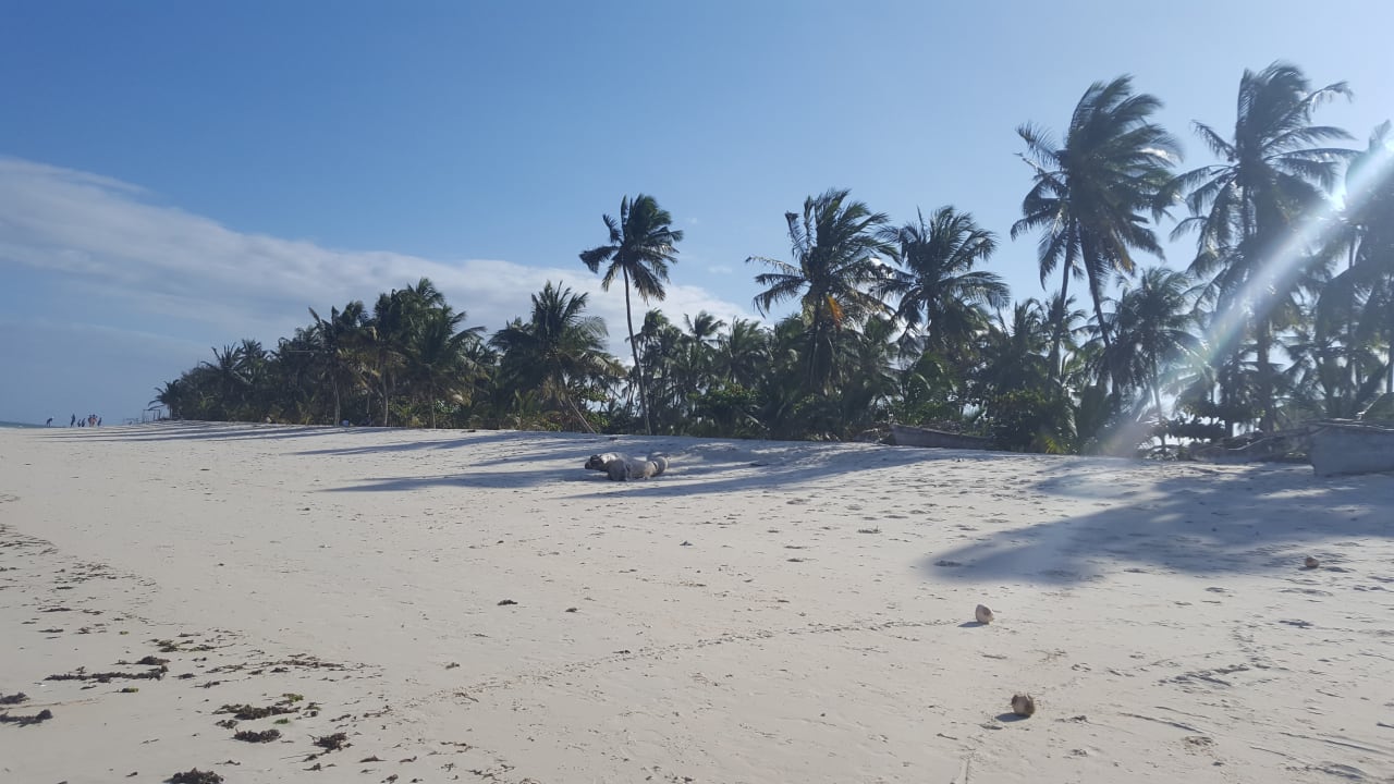 Ausblick Hotel Southern Palms Beach Resort