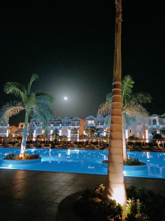 Pool Steigenberger Resort Alaya Marsa Alam - Red Sea - Adults only