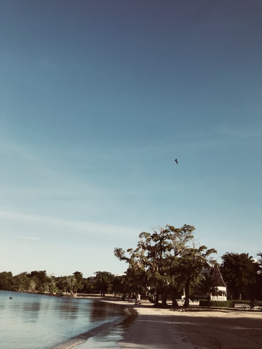 Strand Hotel Riu Negril