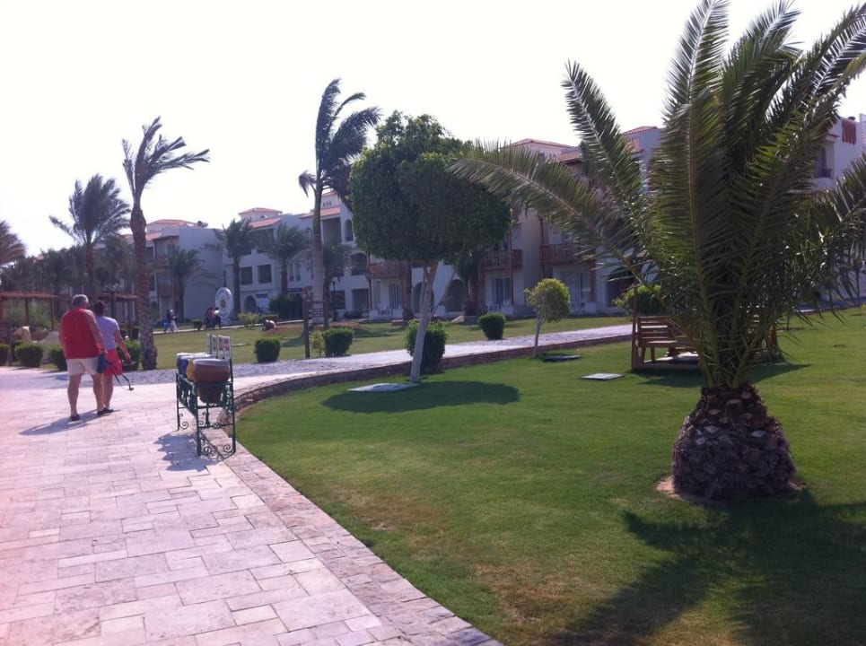In der Anlage  Pickalbatros Dana Beach Resort - Hurghada