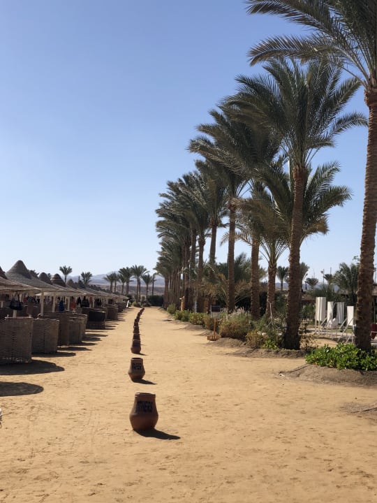 Strand Steigenberger Coraya Beach - Adults only