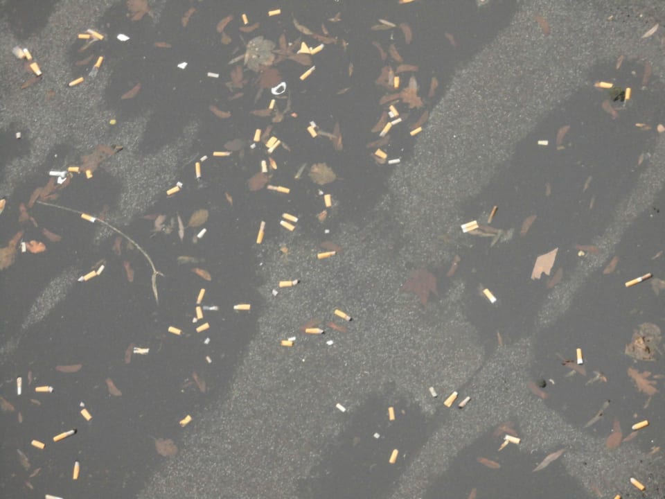 Blick vom Balkon Center Parcs Park Nordseeküste