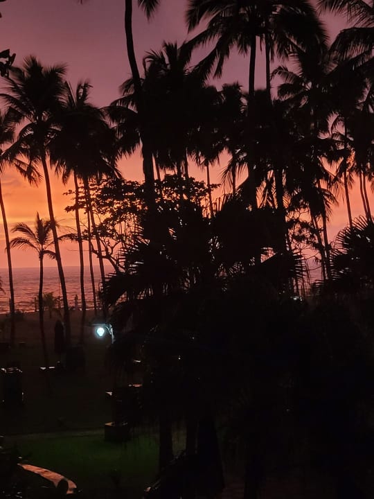 Gartenanlage Royal Palms Beach Hotel