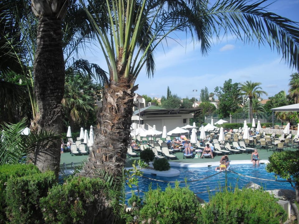 Pool Welikehotel Marfil Playa