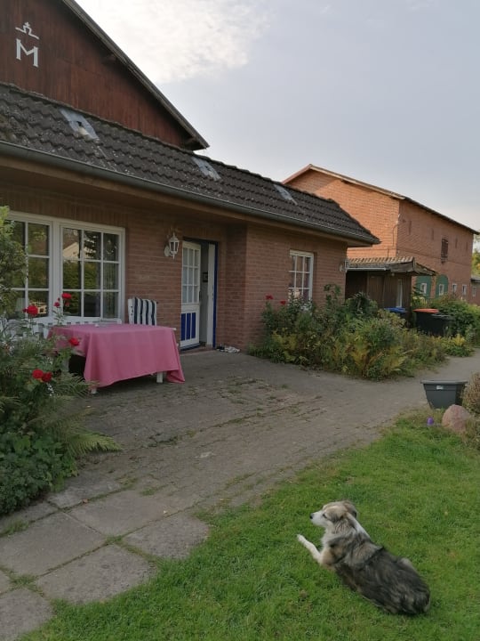 Außenansicht Ferienwohnung Drei Eichen II