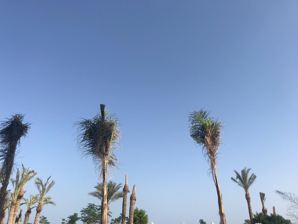 Strand The Grand Palace - Adults only