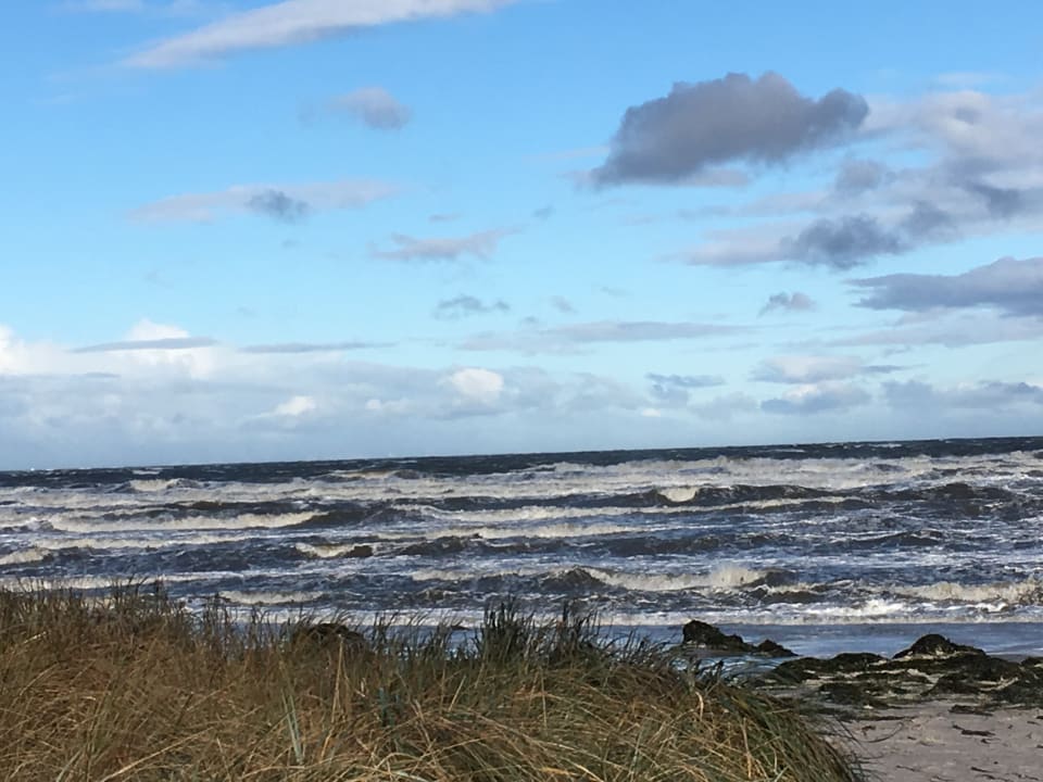 Strand BEECH Resort Boltenhagen
