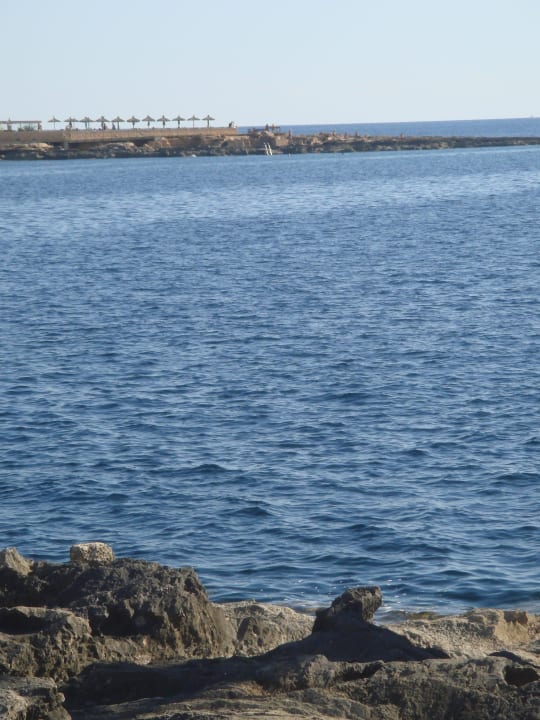 Schwimmbucht mit Meereseinstieg im Hintergrund Iberostar Selection Es Trenc