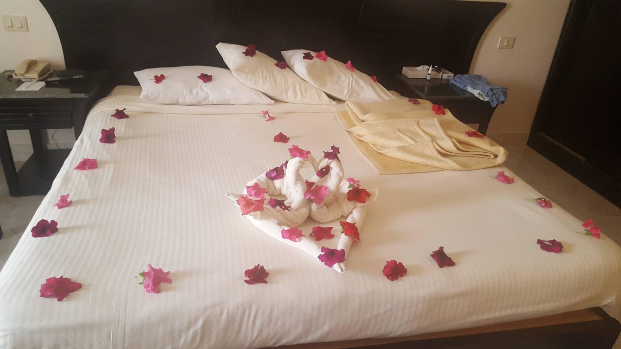 Liebevoll Pickalbatros Royal Moderna Resort-Sharm El Sheikh