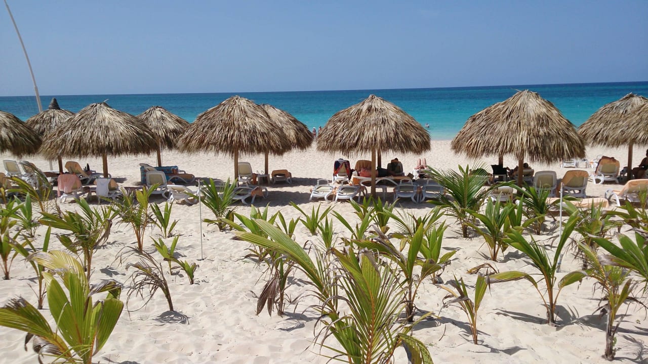 Blick die Düne hinunter zum Strand Hotel Riu Republica - Adults only