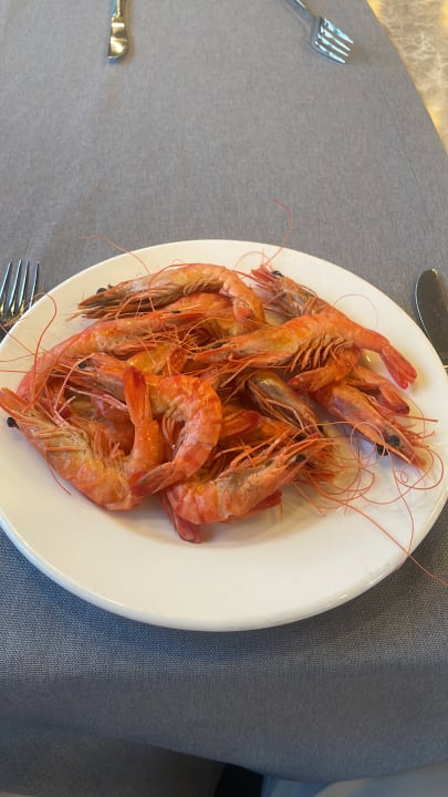 Gastro Hotel Royal Garden Beach