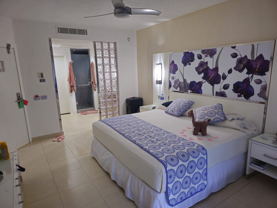 Zimmer Hotel Riu Playacar
